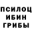 Псилоцибиновые грибы Magic Shrooms kurlyhead marr