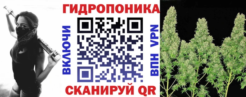 Канабис планчик Новоульяновск